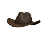 Brown Cowboy Hat