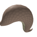 Brown Fat Lizard Tail