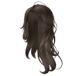 Brown Long Natural Wavy Hair