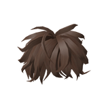 Brown Messy Hairstyle