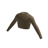 Brown Striped Crop Top