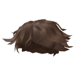 Brown Wavy Messy Hair