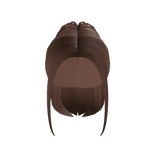 Brown  Y2K High Ponytail