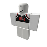 Bulls Jersey