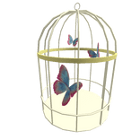 Butterfly Cage