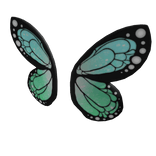Butterfly Wings 🦋