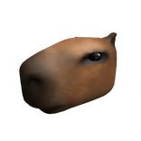 Capybara Head