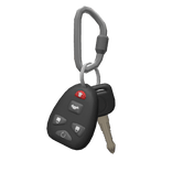 Carabiner Car Keys