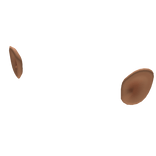 Cartoon Ears