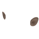 Cartoon Ears