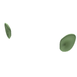 Cartoon Ears