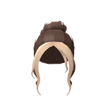 Casual Messy Bun Brunette And Blonde