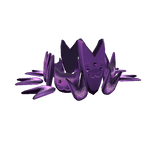 cat crown but it was positioned lower