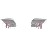 Cat's Ear Kawaii 🐾