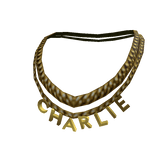 Charlie Puth’s Gold Chain Necklace