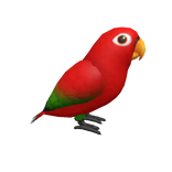 Chattering Lory