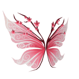 Cherry Blossom Fairy Wings