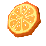 Citrus Orange Slice Snack