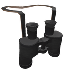 Classic Black Binoculars