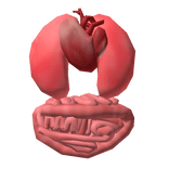 Clean Interior (Skeleton)