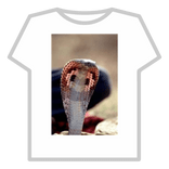 cobra club shirt