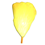 Coco - Marigold Petal