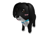 Coffee the Cocker Spaniel