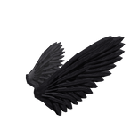 Commander Crow's Wings