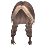 Country Girl Blonde & Brown Braids