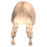 Country Girl Blonde Braids