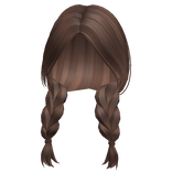 Country Girl Brown Braids