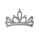 Cowgirl Tiara Add On 