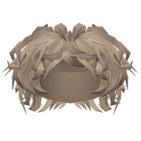 Curly Blonde Fluffy Hair