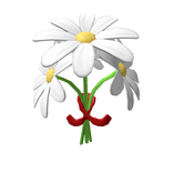 Daisy bouquet