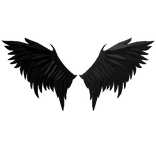 Dark Angel Commander Wings