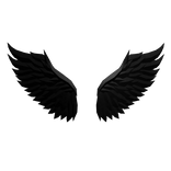 Dark Feather Wings