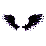 Dark Matter Wings