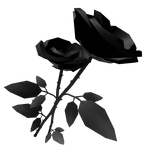 Dark Rose Bundle