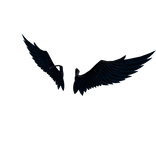 Dark Shoulder Wing Set
