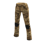 Desert Military Cargo Pants