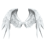 Divine Angel Wings