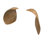 Dog Ears