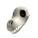 Dog Skull