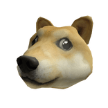 Doge