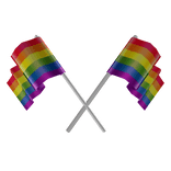Double Pride Flags