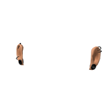 Ears with Black Gauges