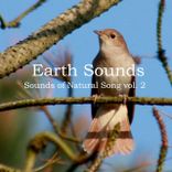 Earth Sounds