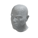 Elton John - Star Suit - Head