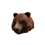 Endless Summer Grizzly Bear