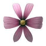 Fairy Empress Front Piece